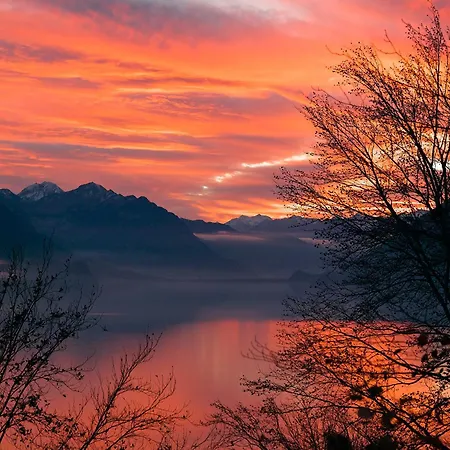 Francy - Partial View Appartement Brienz (Bern)