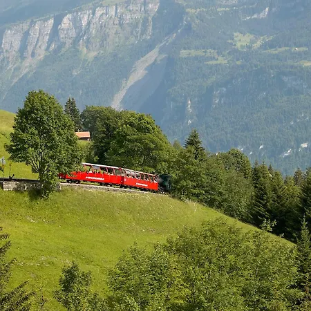 Apartment Francy - Partial View Brienz (Bern)