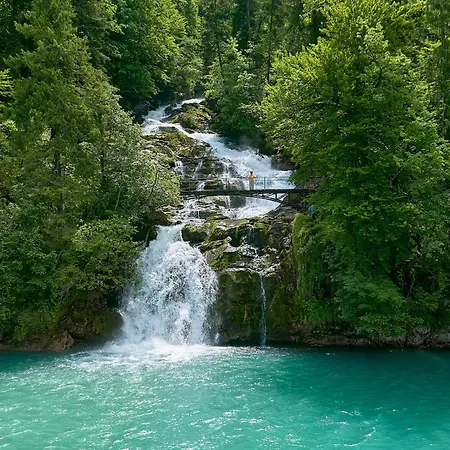 Francy - Partial View *