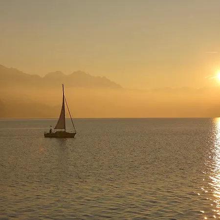 Appartement Francy - Partial View *