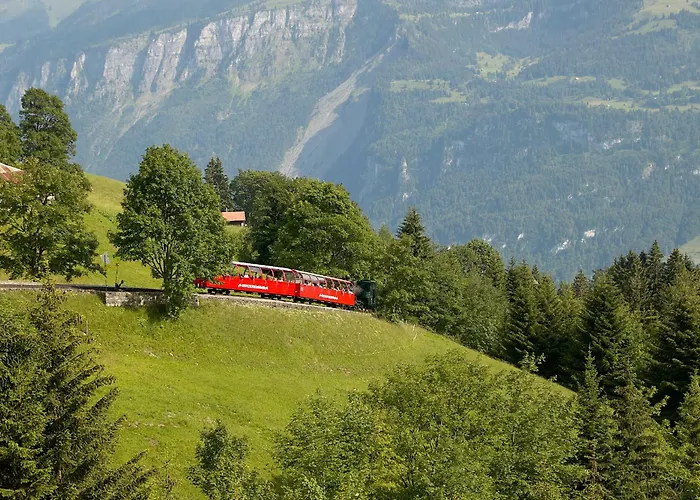 Lejlighed Francy - Partial View Brienz (Bern)
