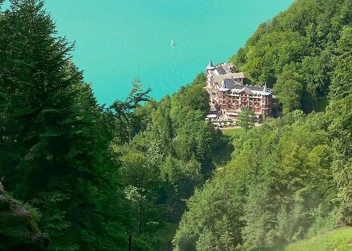 Francy - Partial View Brienz (Bern)