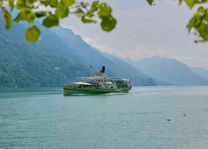 Francy - Partial View Lejlighed Brienz (Bern)